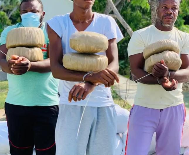Haïti-sécurité: 3 ressortissants jamaïcains appréhendés, 635,5kg de marijuana saisis, selon la PNH
