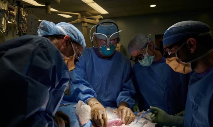 Autriche : Une chirurgienne condamnée après avoir amputé la mauvaise jambe d’un patient