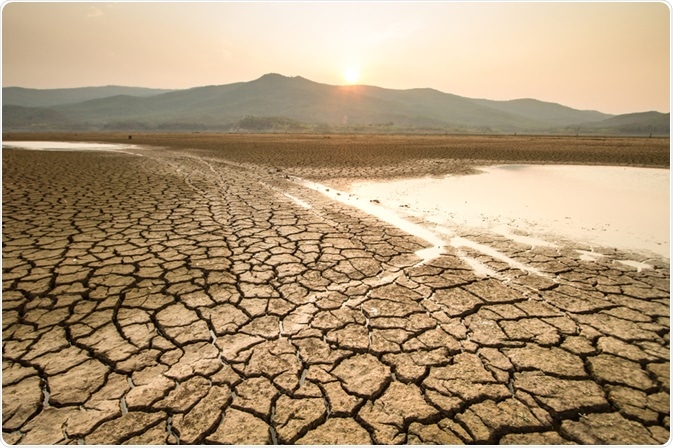 Les scientifiques mettent en garde contre une sécheresse généralisée au cours de ce siècle