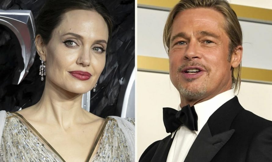 Brad Pitt poursuit son ex femme Angelina Jolie en justice