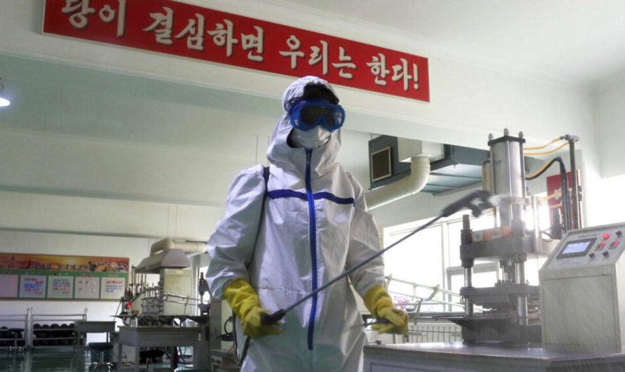 Covid: la Corée du Nord affirme que tous les malades sont «guéris»