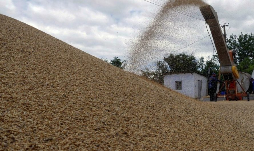 La Russie reprend sa participation à l’accord sur les exportations de céréales ukrainiennes